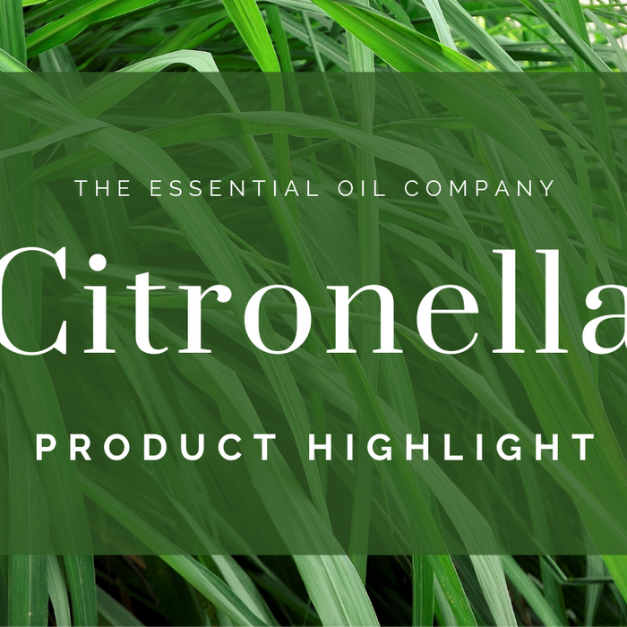 Citronella: Product Highlight